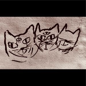 Meet your Posher, Harrison